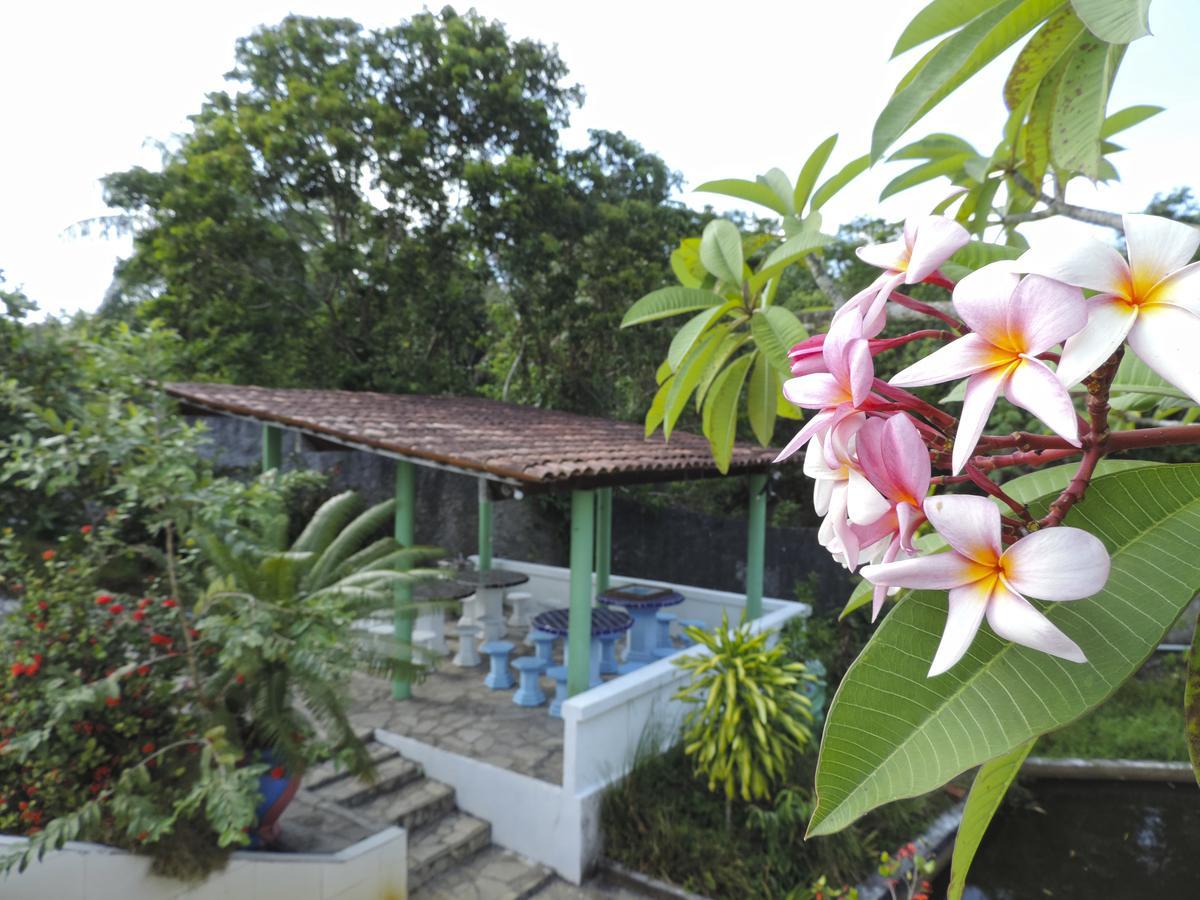 Pousada Paraiso Verde コンデ エクステリア 写真
