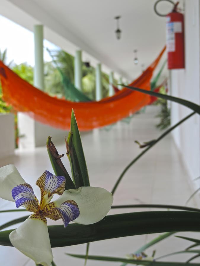 Pousada Paraiso Verde コンデ エクステリア 写真